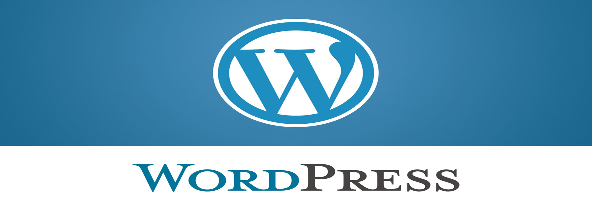 Wordpress первый