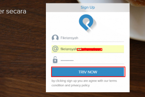Cara Isi Saldo Paypal Melalui OVO | TutorialPedia