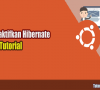 Cara Mengaktifkan Hibernate di Ubuntu 13.10